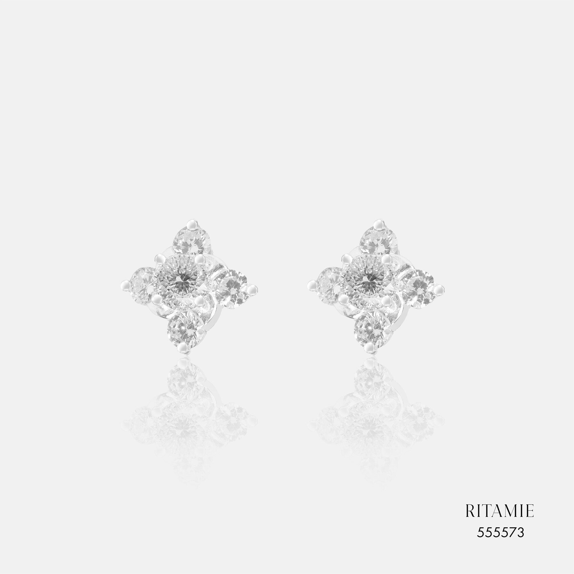 Silver Earrings 555573