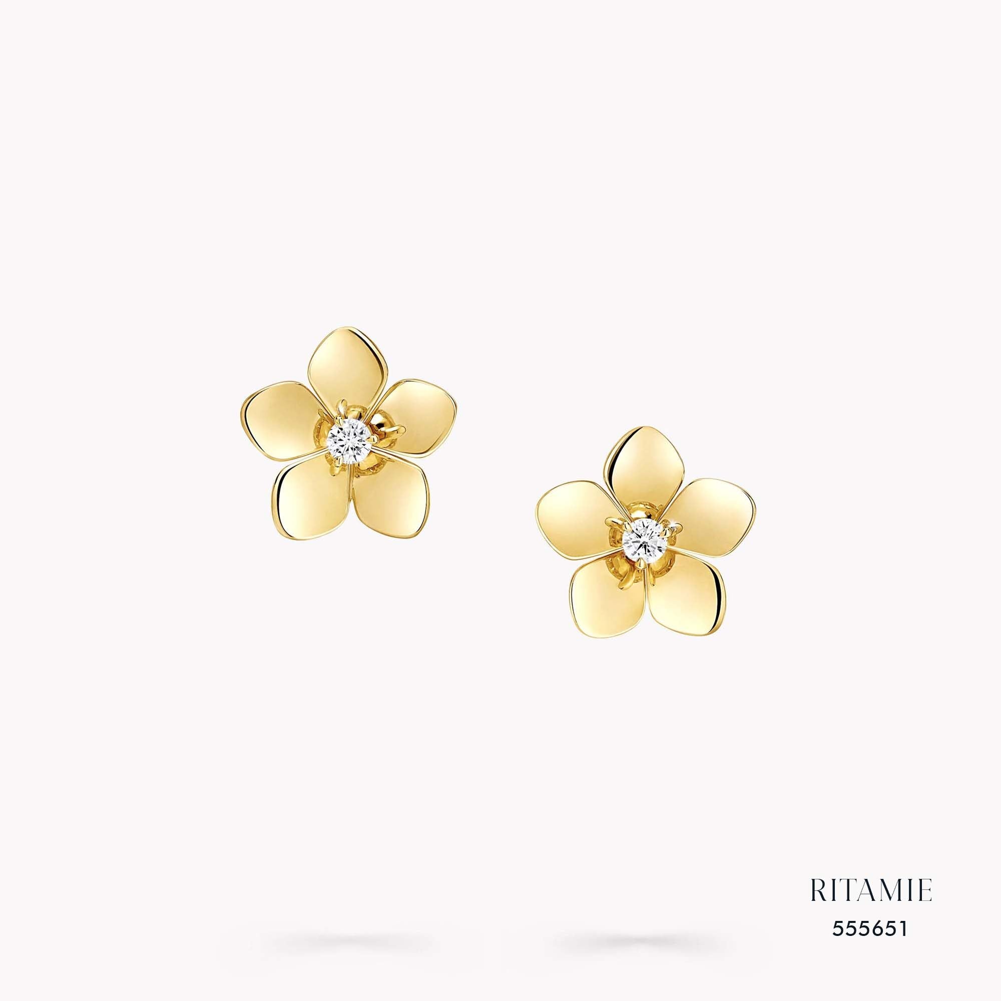 Diamond Earrings 555651
