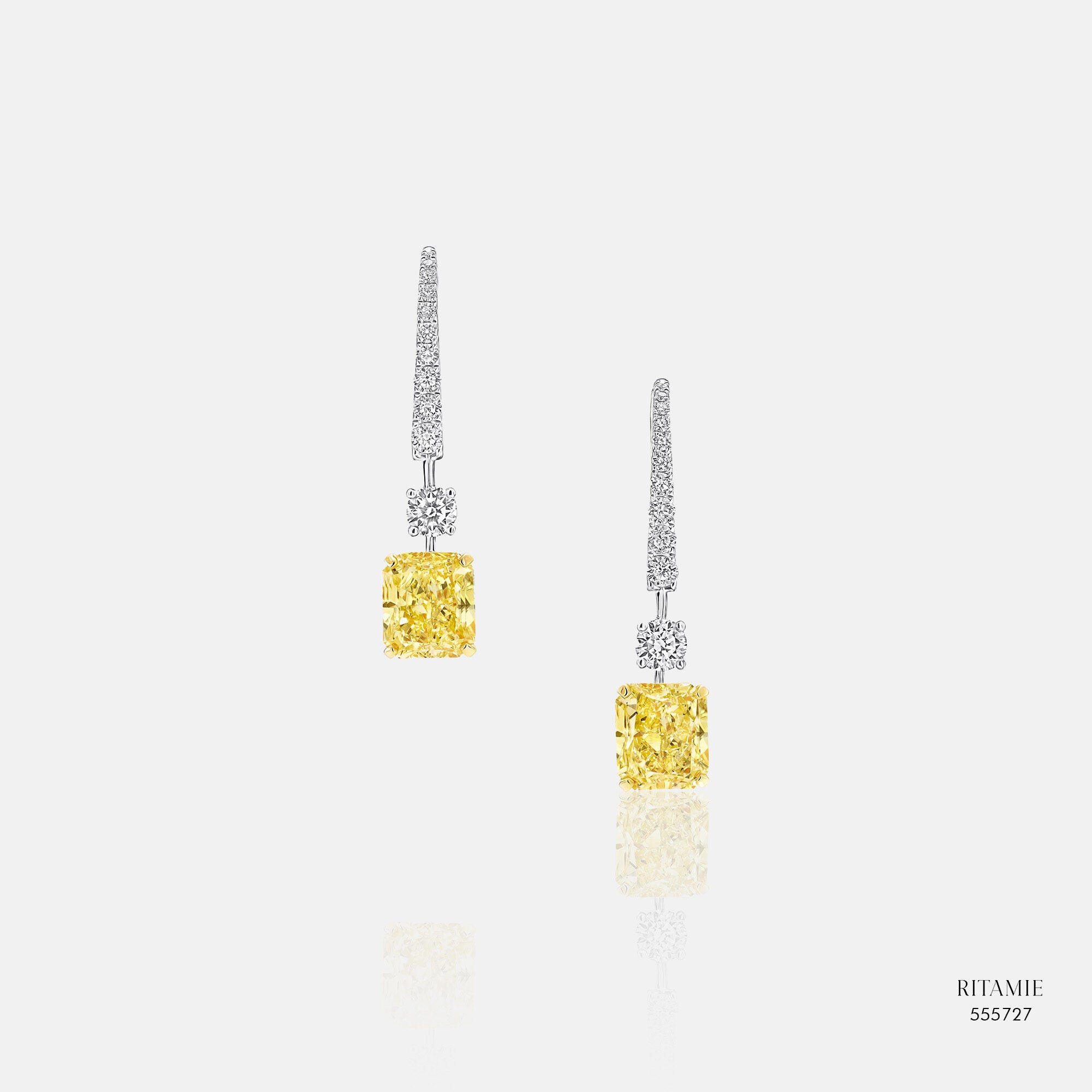 Earrings 555727