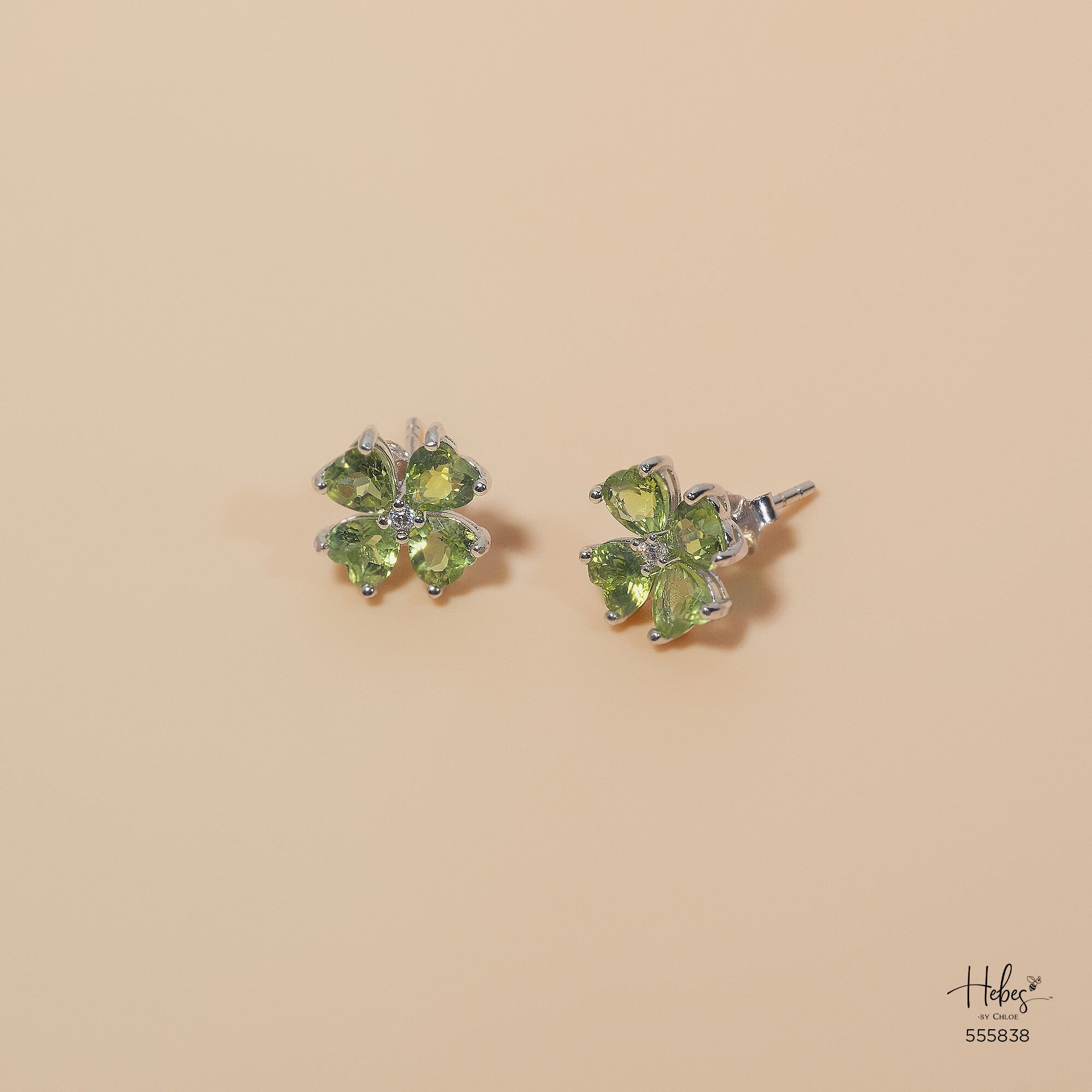 Earrings 555838