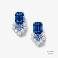 Earrings 555872