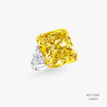 Ring 555893